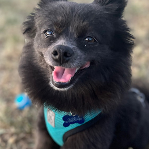 Fundraising Page: Guiselle Torres